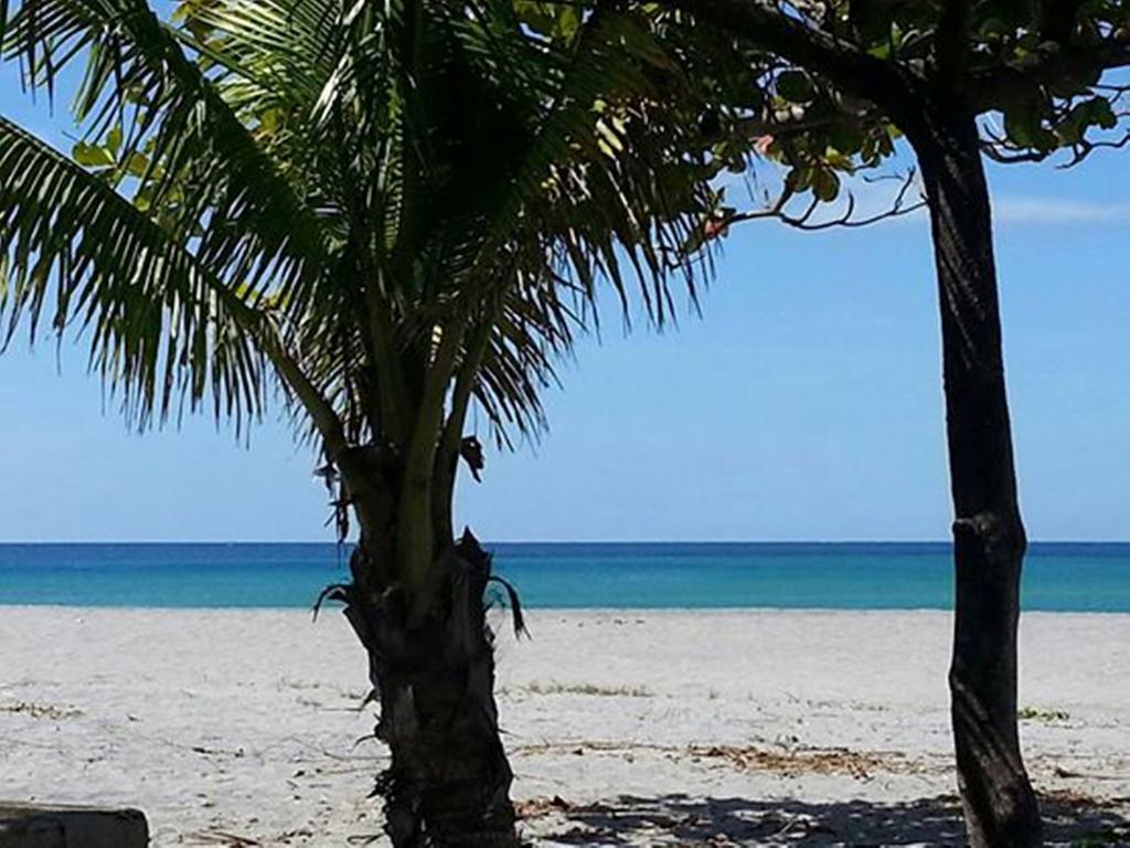 Rama International Beach Resort Botolan Eksteriør bilde